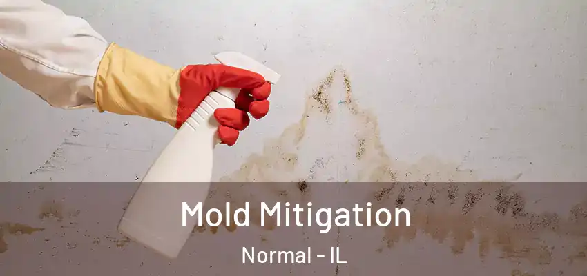  Mold Mitigation Normal - IL