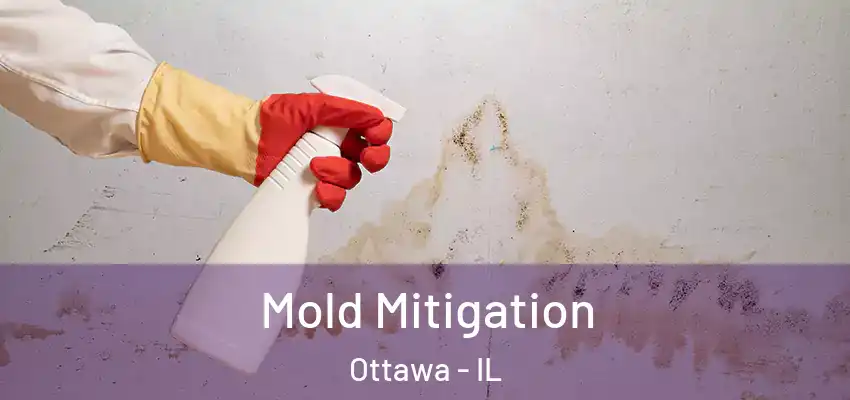  Mold Mitigation Ottawa - IL