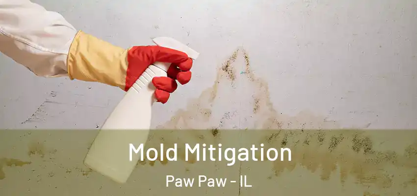 Mold Mitigation Paw Paw - IL