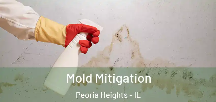  Mold Mitigation Peoria Heights - IL