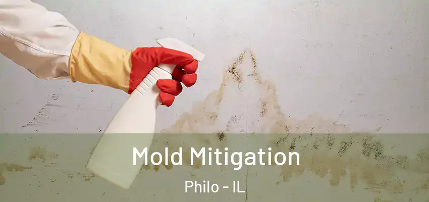  Mold Mitigation Philo - IL