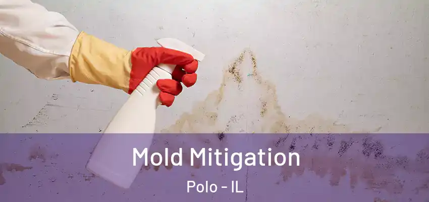  Mold Mitigation Polo - IL