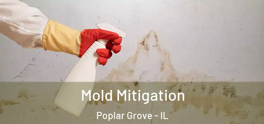 Mold Mitigation Poplar Grove - IL
