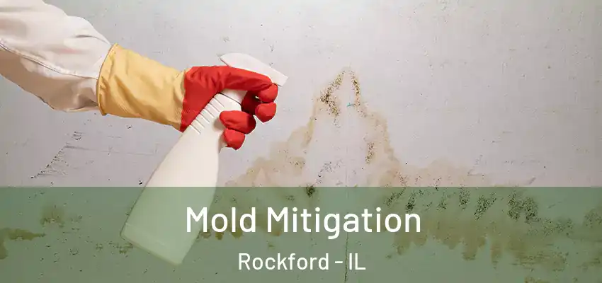  Mold Mitigation Rockford - IL