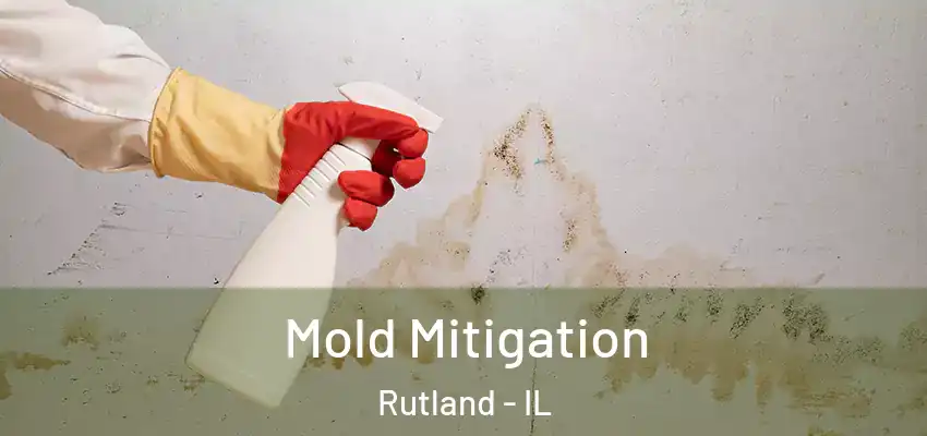 Mold Mitigation Rutland - IL