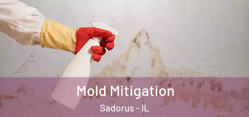  Mold Mitigation Sadorus - IL