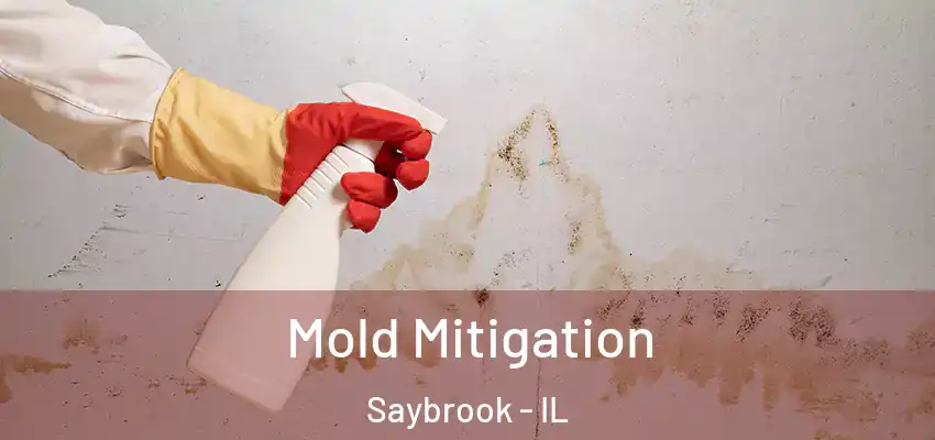  Mold Mitigation Saybrook - IL