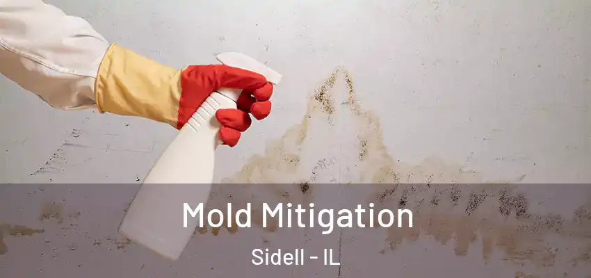  Mold Mitigation Sidell - IL