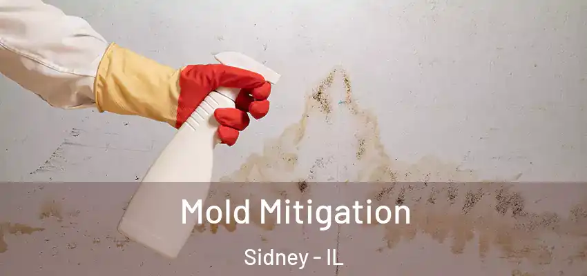  Mold Mitigation Sidney - IL