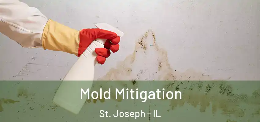  Mold Mitigation St. Joseph - IL