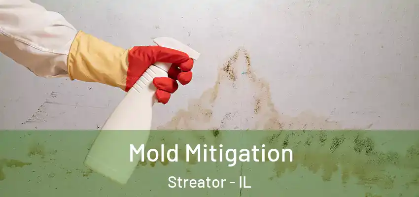  Mold Mitigation Streator - IL
