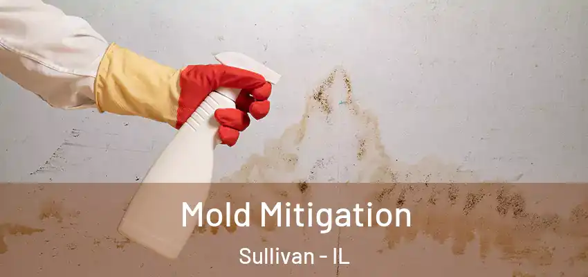  Mold Mitigation Sullivan - IL