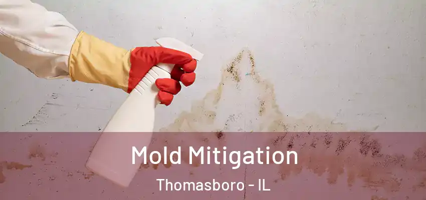  Mold Mitigation Thomasboro - IL