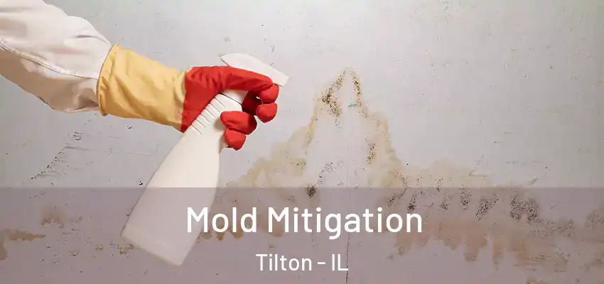  Mold Mitigation Tilton - IL