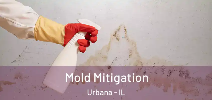  Mold Mitigation Urbana - IL