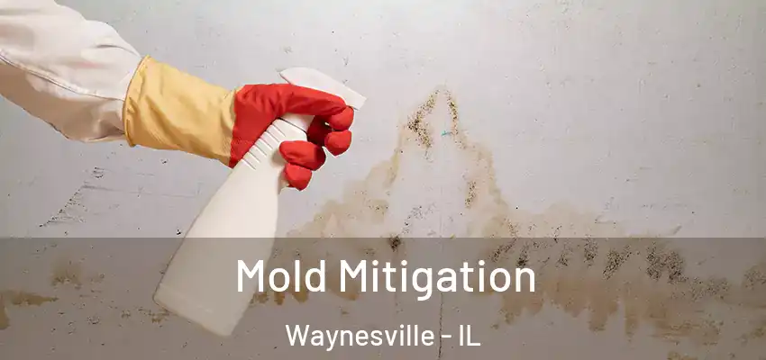Mold Mitigation Waynesville - IL