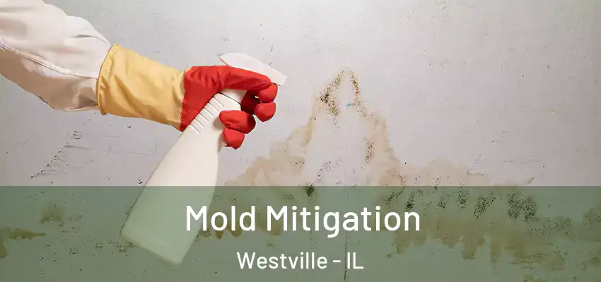  Mold Mitigation Westville - IL