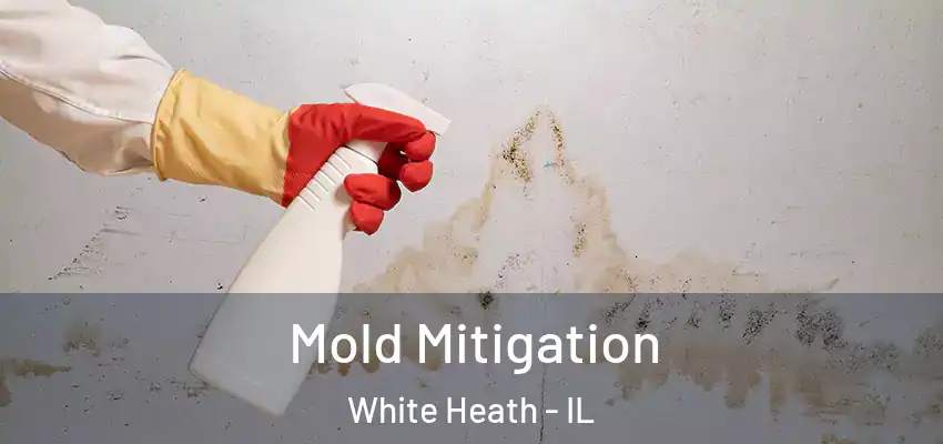  Mold Mitigation White Heath - IL