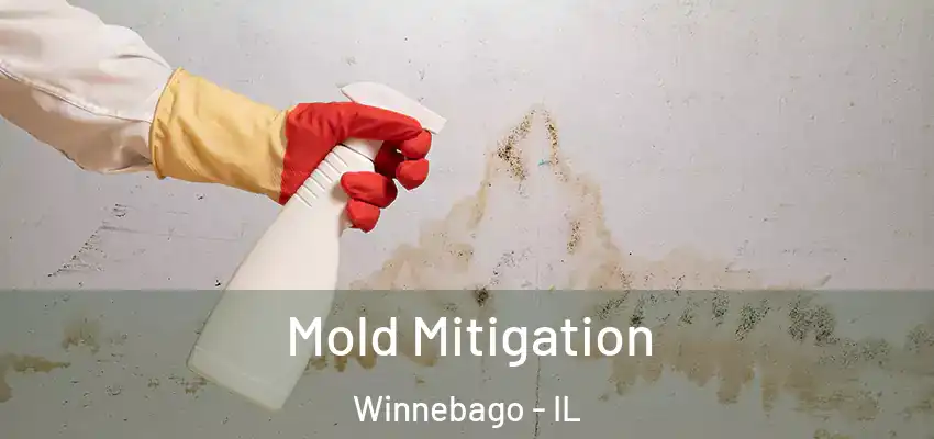  Mold Mitigation Winnebago - IL