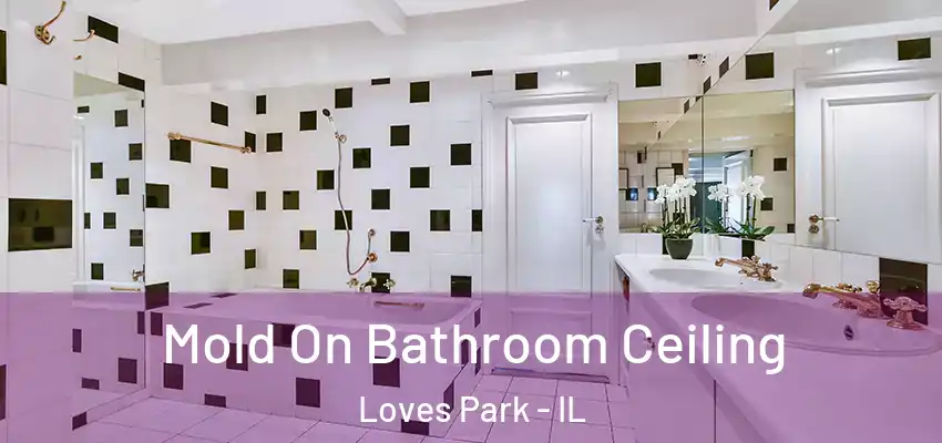  Mold On Bathroom Ceiling Loves Park - IL