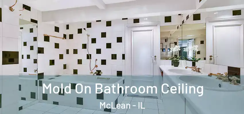 Mold On Bathroom Ceiling McLean - IL
