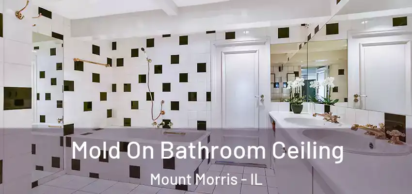  Mold On Bathroom Ceiling Mount Morris - IL