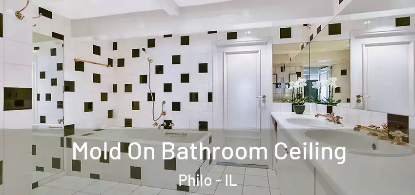  Mold On Bathroom Ceiling Philo - IL