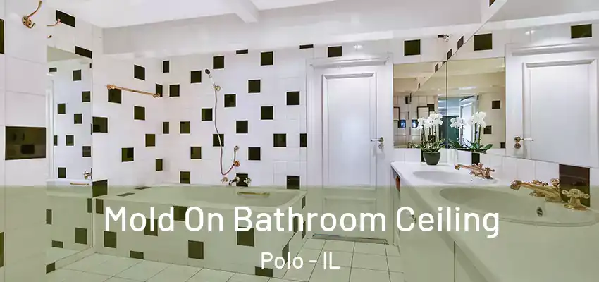  Mold On Bathroom Ceiling Polo - IL