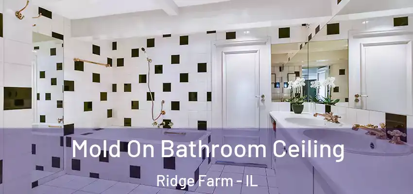  Mold On Bathroom Ceiling Ridge Farm - IL