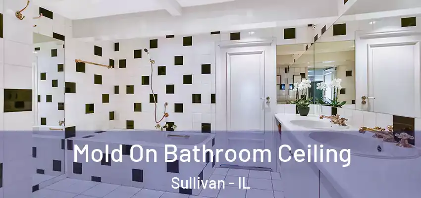 Mold On Bathroom Ceiling Sullivan - IL