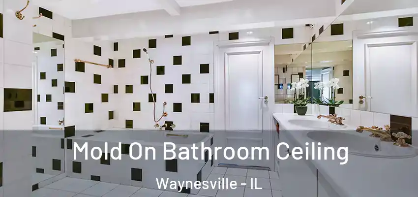  Mold On Bathroom Ceiling Waynesville - IL