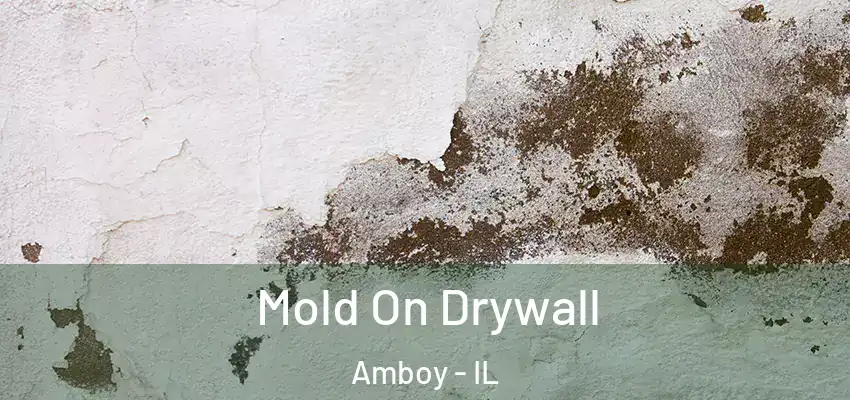  Mold On Drywall Amboy - IL