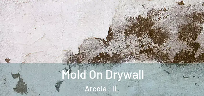  Mold On Drywall Arcola - IL