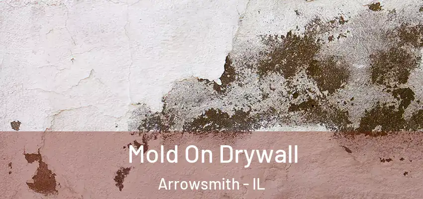  Mold On Drywall Arrowsmith - IL