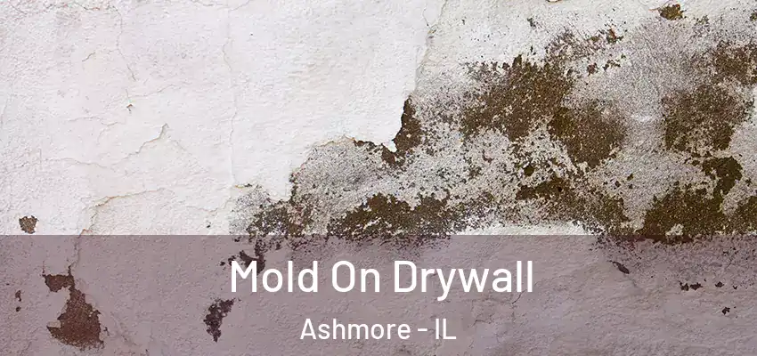  Mold On Drywall Ashmore - IL
