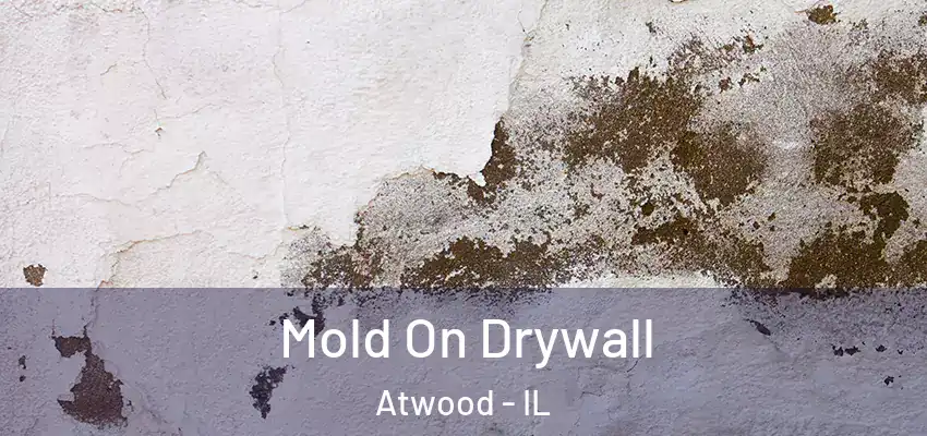  Mold On Drywall Atwood - IL