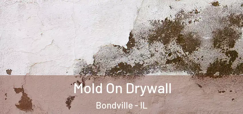  Mold On Drywall Bondville - IL