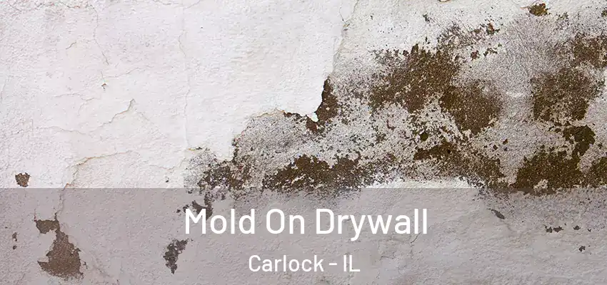  Mold On Drywall Carlock - IL
