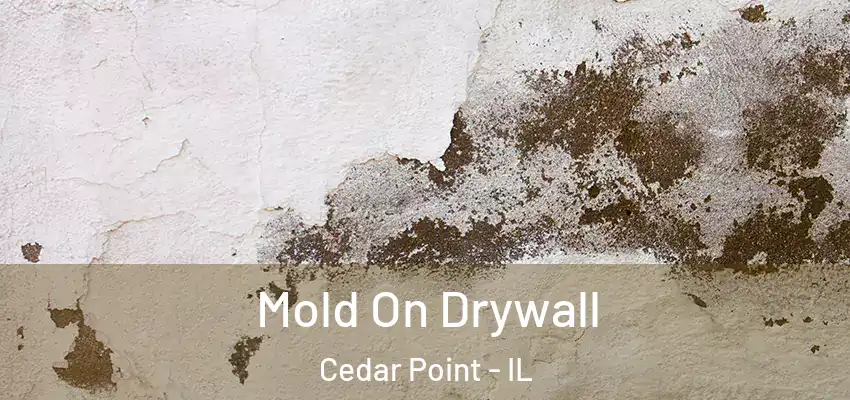 Mold On Drywall Cedar Point - IL