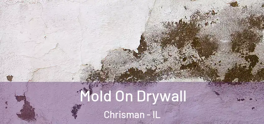  Mold On Drywall Chrisman - IL