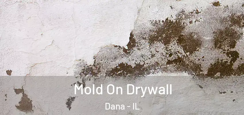  Mold On Drywall Dana - IL