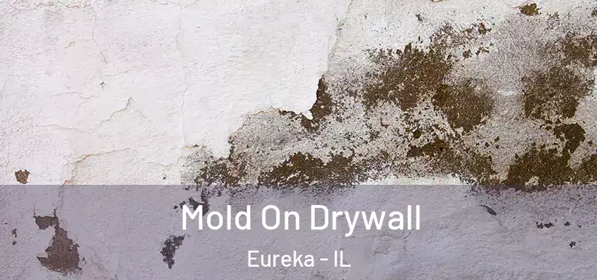  Mold On Drywall Eureka - IL