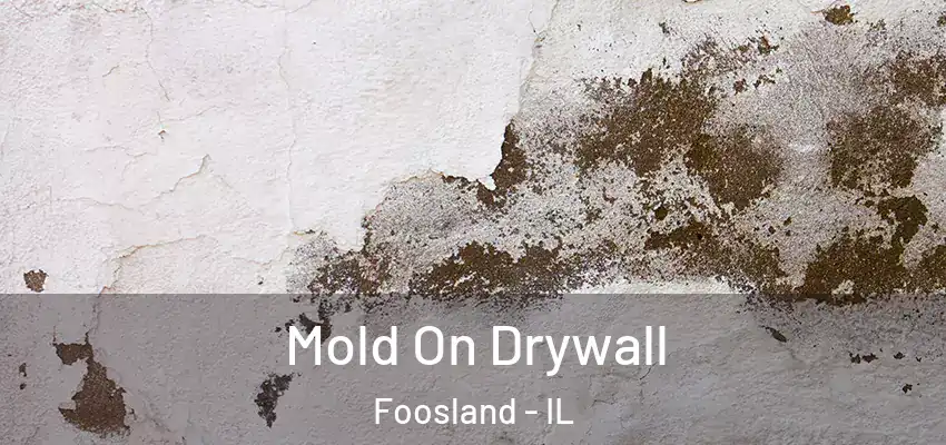  Mold On Drywall Foosland - IL