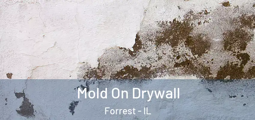 Mold On Drywall Forrest - IL