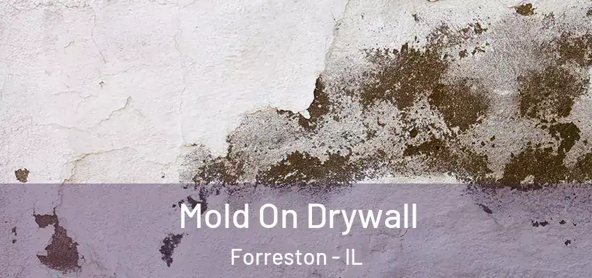  Mold On Drywall Forreston - IL