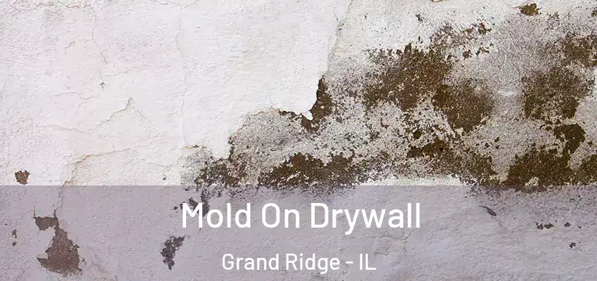  Mold On Drywall Grand Ridge - IL