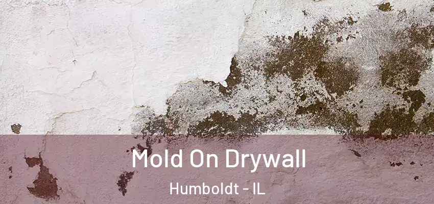  Mold On Drywall Humboldt - IL