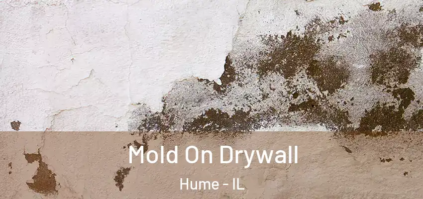  Mold On Drywall Hume - IL