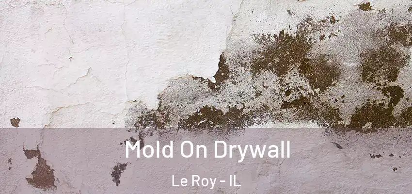  Mold On Drywall Le Roy - IL