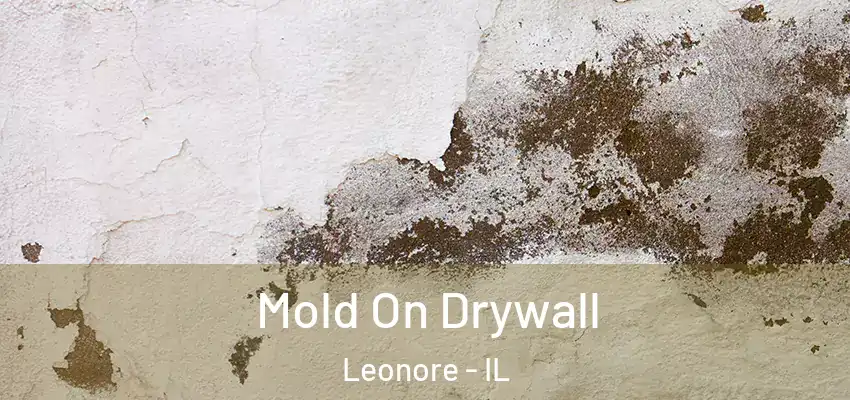Mold On Drywall Leonore - IL